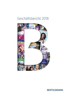 Geschäftsbericht 2018 - Finanzteil