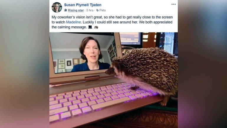 Videokonferenz mit Madeline McIntosh